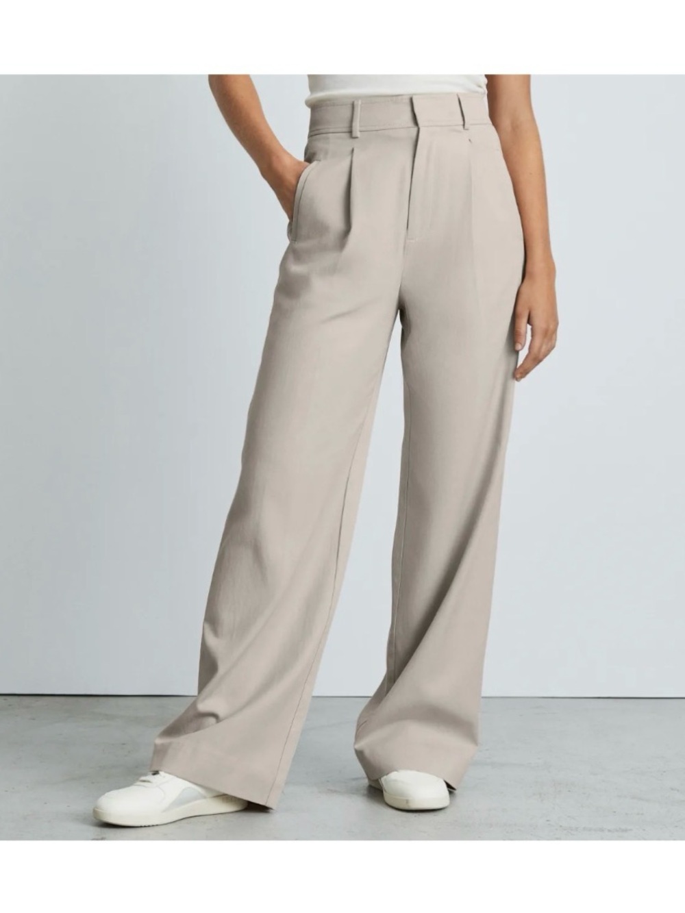 Everlane Way High Drape Pant